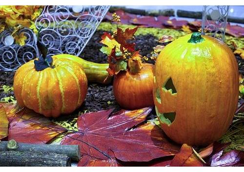 Halloween_ Candy, costumes, and more! (1)